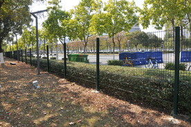 绿化带上的铁网