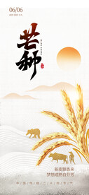 24节气 芒种