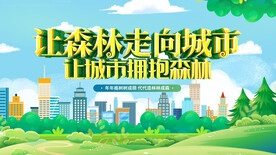 森林城市