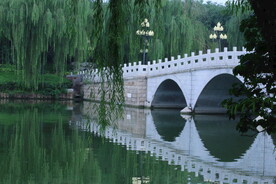 公园风景 