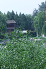 公园风景