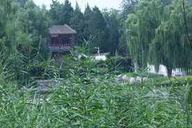 公园风景