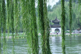 公园风景 