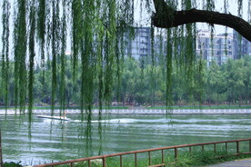 公园风景 