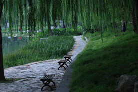 公园风景