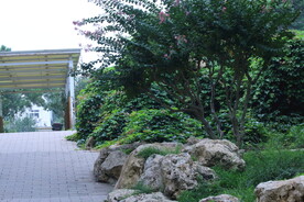 公园风景 