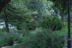 公园风景 