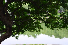 公园风景 