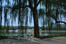 公园风景
