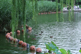 公园风景 