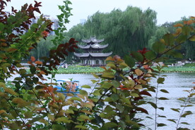 公园风景 