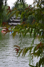 公园风景 
