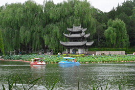 公园风景 