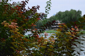 公园风景 