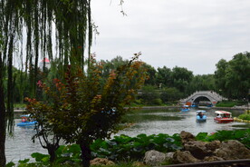 公园风景 