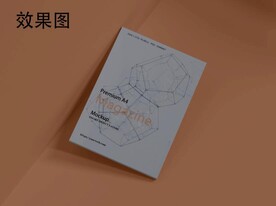 A4杂志封面样机