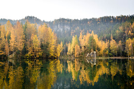 秋林及湖景
