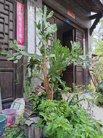 龙凤古镇