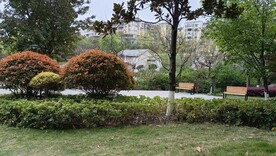 城市公园