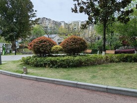 城市公园