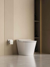 C4D模型 马桶