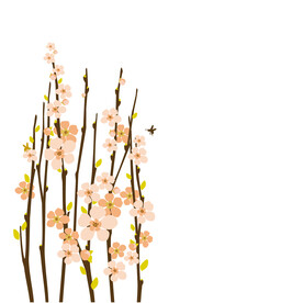 花束插画