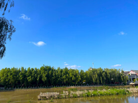 蓝天绿树