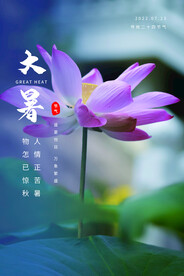 二十四节气处暑创意海报