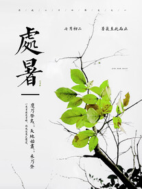 简约清新二十四节气之处暑节气海