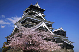 樱花寺庙景点