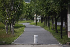 城市绿道电动车道