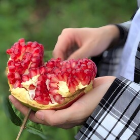 石榴