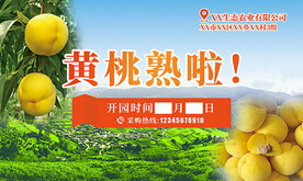 黄桃