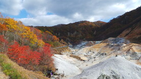 山脉和枫树