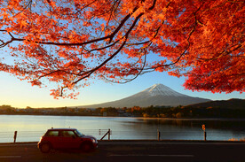 车和枫叶风景照