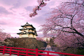 樱花和寺庙