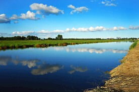 田野湖景