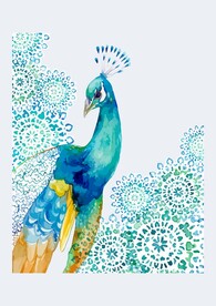 孔雀水彩画