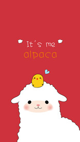  羊驼可爱的小羊