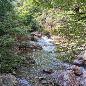 白水寨