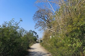 山路