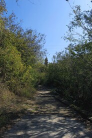 山路