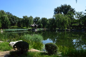 公园风景
