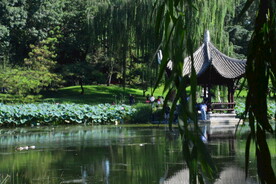公园风景 