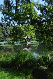 公园风景