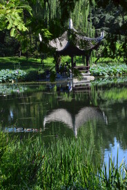 公园风景 