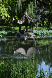 公园风景