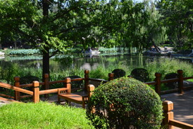 公园风景 