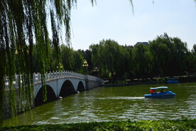 公园风景