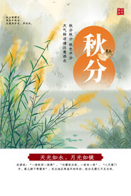 秋分 节气